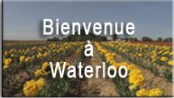 Bienvenue à Waterloo